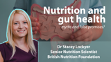 A slide featuring speaker Dr Stacey Lockyer